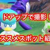 ポケモンSVで小さいポケモンをドアップで撮る方法 オススメスポットはここだ！