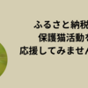 ふるさと納税で保護猫活動を応援