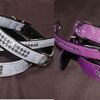 See decided in a stylish collar -　お洒落なアートレザーの首輪