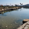 田井みなと公園の池（岡山県玉野）