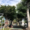 板橋区②赤塚氷川神社