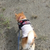 公園を出てまた公園、だよ