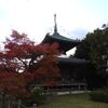 清涼寺の紅葉