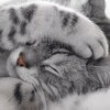 「幸せを引き寄せる」ために、気を付ける習慣～『幸せおとりよせノートの作り方』
