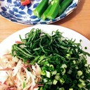hippari_udon’s diary