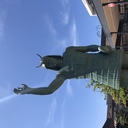カズトコトコ‥