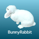 BunnyRabbit