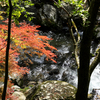 愛媛県内子町　「小田深山渓谷　後編」