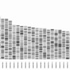 Rを使って、ゲノム上に遺伝子の位置を表示する