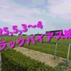 2025,5,3～4 トラックバイアス結果 (東京競馬場　京都競馬場　新潟競馬場)