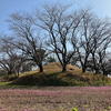 袈裟尾高塚古墳　熊本県菊池市稗方