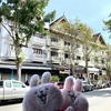 チェンマイ旧市街のお気に入り＆デジャブスポットと金運アップにワットモーカムトゥアンへ