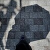炎天下で日傘さして投票と買い物に行く