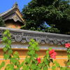 兵庫・宝塚 - 中山寺の芙蓉