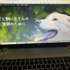 2025年3月29日🐾 今日のマヤ暦