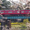 2019/4/5　岡崎公園に行ってみた。