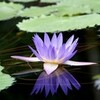  恒例お泊り