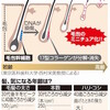 髪の老化防止