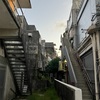 【石垣島暮らし】市街地で食事からお散歩へ