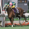 第26回（64回）宝塚記念（GⅠ）阪神競馬場　芝2200m　2023年　消去法データ