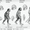 サピエンス全史読書感想①