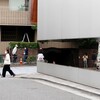 ミヤギフトシの二つの展示を観てきた