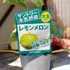 サントリー本気野菜 メロン編