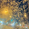 タサタサ、たさたさ、夜の雪