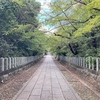 段々紅葉シーズンが近づいてきた！京都市の向日神社で秋を堪能しよう