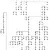 日向伊東氏の系図について