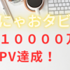 メインブログ「にゃおタビ」が2か月連続1万PV達成しました。