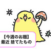 【今週のお題】新しい湿気取りを設置しました。