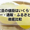文旦の値段はいくら？スーパー・通販・ふるさと納税で徹底比較