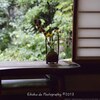 『やっぱり京都はイイ！ October 2017』 すべてがフォトジェニック 河井寛次郎記念館・東山区五条坂