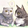 ねこちゃんお絵かき！犬派だけど猫もかわいいよね(イモリもかわいい)