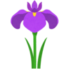 菖蒲のフリーイラスト素材