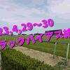 2023,4,29～30 トラックバイアス結果 (東京競馬場、京都競馬場、新潟競馬場)