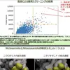 富岳によると新型コロナに対して1番効果があるのはイベルメクチンとなっています