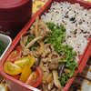 135日目「チャプチェ弁当」