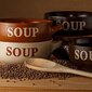 リーキーガット症候群にはボーンブロススープ｜肉や魚の骨だしスープが腸を改善
