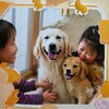 元気が出る話「犬たちの笑顔が溢れる場所：愛情と笑顔でつながる犬介護施設の物語」