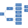 ３つのロジックツリー（ロジックツリーの使い方）