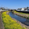 川を歩く《目久尻川》 前編 ）神奈川県寒川・いこい橋から海老名・北部公園