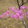 東京薬用植物園2(東京都小平市)