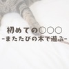 初めての〇〇〇-またたびの木で遊ぶ-