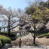 【写真日記】岩国にて②　シロヘビの戯れと、.....