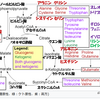 糖かケトンか