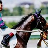 読む競馬（15）放たれた矢は終わりから始まりへ - 2000年フェブラリーステークス