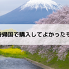 一時帰国で購入してよかったもの