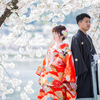 京都の桜は美しい！春に和装前撮りするならココ！！
